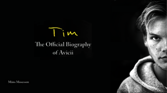 avicii biography 2 2